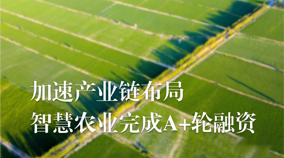 加速农业产业链布局，QT钱包官网农业完成A+轮融资