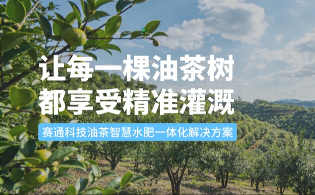 赛通科技油茶QT钱包官网水肥一体化解决方案：让每一棵油茶树都享受精准灌溉